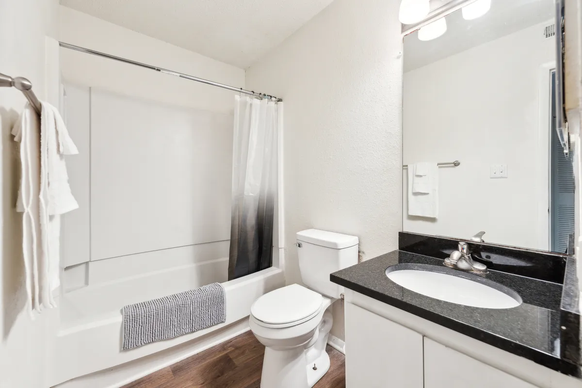 A stylish bathroom with a bright, clean sink, a large mirror, bathtub with a shower curtain, and modern toilet. The setup is both functional and inviting, perfect for either quick morning routines or relaxing self-care moments.